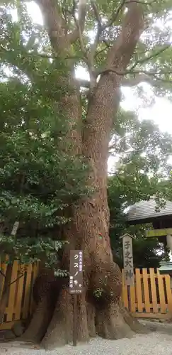 伊勢山皇大神宮の自然