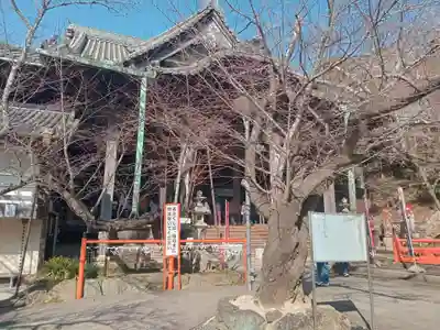 金剛宝寺(紀三井寺)(和歌山県)