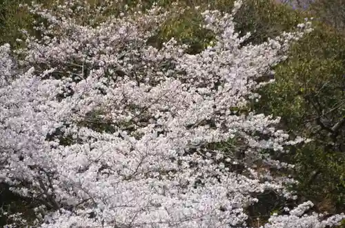 吉備津彦神社(岡山県)