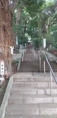 浅間神社(千葉県)