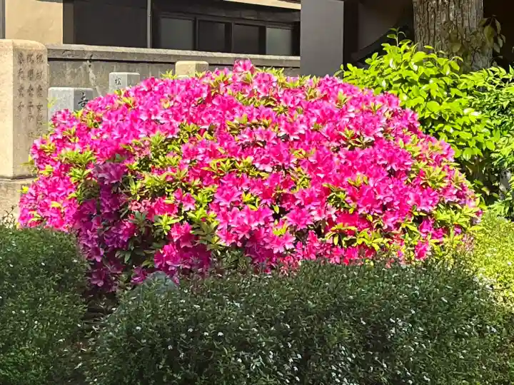 一乗寺(大阪府)