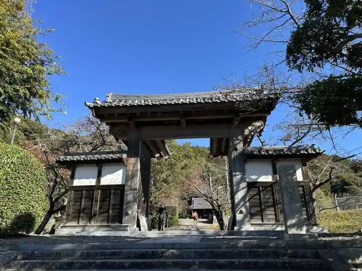 繁多寺(愛媛県)