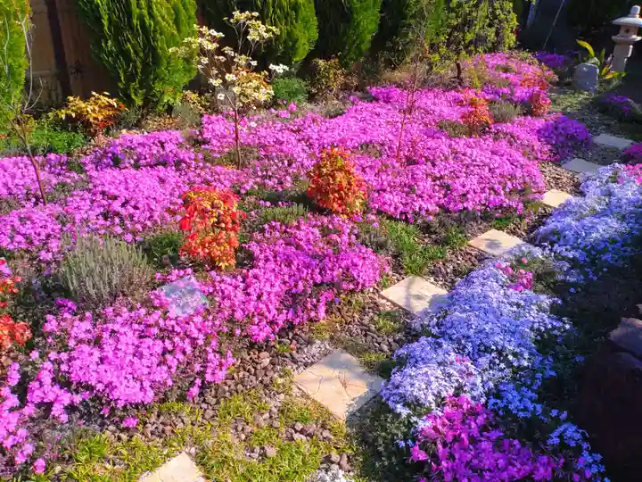寿量山 速成寺(奈良県)