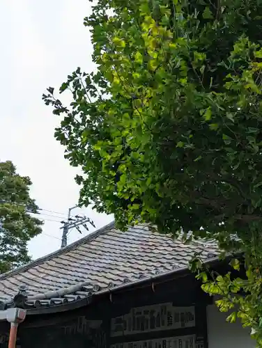 元慶寺(京都府)