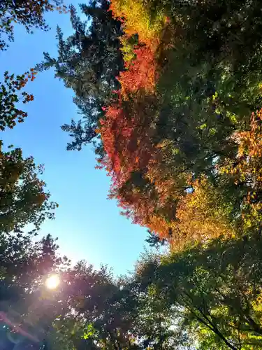 石都々古和気神社(福島県)