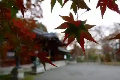大石神社のその他建物
