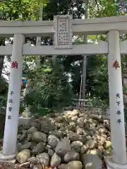 亀ケ池八幡宮の鳥居