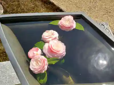 歓喜院のその他建物