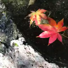 鹿島大神宮(福島県)