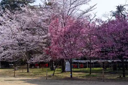 賀茂別雷神社（上賀茂神社）(京都府)