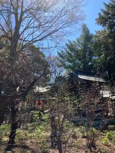 白岡八幡神社(埼玉県)