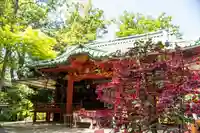 赤坂氷川神社(東京都)