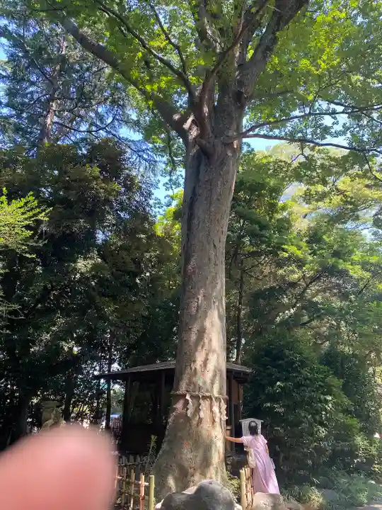 前鳥神社(神奈川県)
