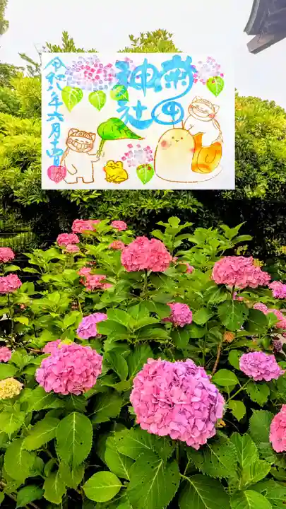菊田神社の御朱印