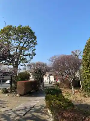 長善寺のその他建物