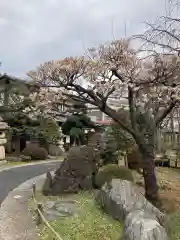 最勝寺(東京都)