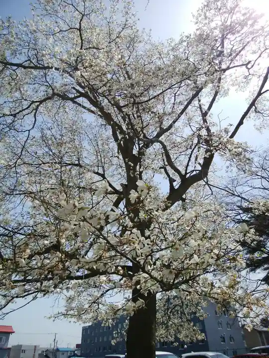 厚別神社(北海道)