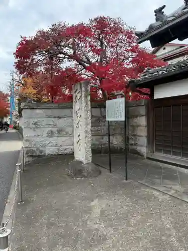 金剛寺の{uncategorized: "未分類", other: "その他", undefined: "問題あり", building: "その他建物", grave: "お墓", sacred_gate: "鳥居", guardian: "狛犬", statue: "像", buddha: "仏像", history: "歴史", nature: "自然", garden: "庭園", animal: "動物", pagoda: "塔", temizu: "手水舎", mountain_gate: "山門・神門", sanctuary: "本殿・本堂", subordinate: "末社・摂社", art: "芸術", scenery: "景色", jizo: "地蔵", ema: "絵馬", goshuin: "御朱印", omikuji: "おみくじ", items: "授与品その他", amulet: "お守り", goshuincho: "御朱印帳", eats: "食事", festival: "お祭り", votive_dance: "神楽", shichigosan: "七五三参", wedding: "結婚式", experience: "体験その他", initially: "初詣", around: "周辺", anti_infection: "感染症対策"}