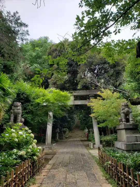 赤坂氷川神社の鳥居