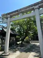 越中白山総社の鳥居