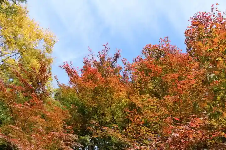 滑川神社 - 仕事と子どもの守り神の自然