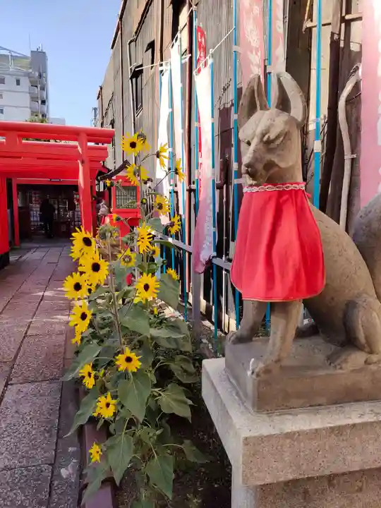 富士浅間神社の狛犬