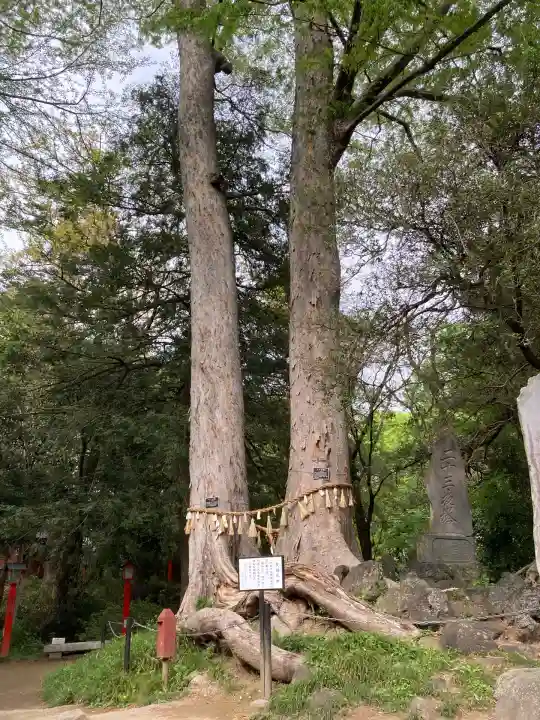 妻沼聖天山歓喜院(埼玉県)