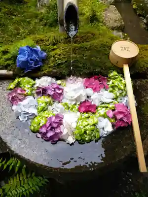 柳谷観音 楊谷寺の手水舎