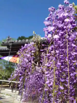 子安地蔵寺の{uncategorized: "未分類", other: "その他", undefined: "問題あり", building: "その他建物", grave: "お墓", sacred_gate: "鳥居", guardian: "狛犬", statue: "像", buddha: "仏像", history: "歴史", nature: "自然", garden: "庭園", animal: "動物", pagoda: "塔", temizu: "手水舎", mountain_gate: "山門・神門", sanctuary: "本殿・本堂", subordinate: "末社・摂社", art: "芸術", scenery: "景色", jizo: "地蔵", ema: "絵馬", goshuin: "御朱印", omikuji: "おみくじ", items: "授与品その他", amulet: "お守り", goshuincho: "御朱印帳", eats: "食事", festival: "お祭り", votive_dance: "神楽", shichigosan: "七五三参", wedding: "結婚式", experience: "体験その他", initially: "初詣", around: "周辺", anti_infection: "感染症対策"}