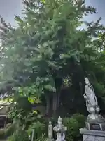 延命寺(福島県)