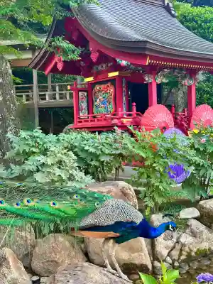 楽法寺（雨引観音）(茨城県)