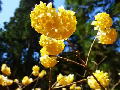 焼森山雷神神社の自然