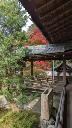 毘沙門堂門跡の建物その他