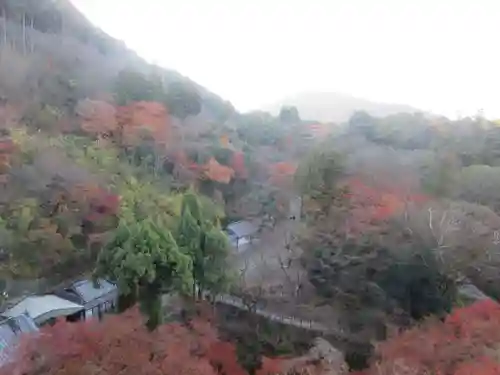 清水寺の景色