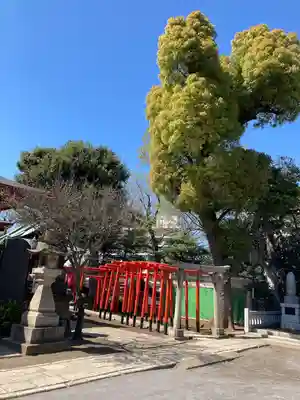 品川神社(東京都)