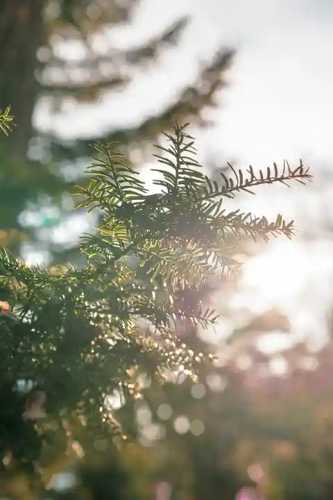美幌神社(北海道)