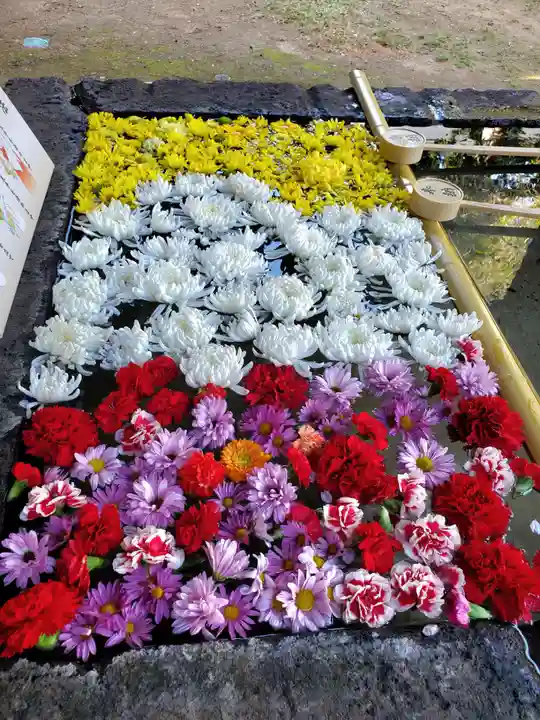 土津神社|こどもと出世の神さま(福島県)