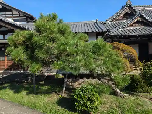 願神院(東京都)
