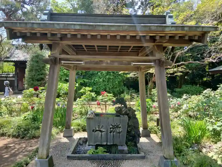 金乘院の{uncategorized: "未分類", other: "その他", undefined: "問題あり", building: "その他建物", grave: "お墓", sacred_gate: "鳥居", guardian: "狛犬", statue: "像", buddha: "仏像", history: "歴史", nature: "自然", garden: "庭園", animal: "動物", pagoda: "塔", temizu: "手水舎", mountain_gate: "山門・神門", sanctuary: "本殿・本堂", subordinate: "末社・摂社", art: "芸術", scenery: "景色", jizo: "地蔵", ema: "絵馬", goshuin: "御朱印", omikuji: "おみくじ", items: "授与品その他", amulet: "お守り", goshuincho: "御朱印帳", eats: "食事", festival: "お祭り", votive_dance: "神楽", shichigosan: "七五三参", wedding: "結婚式", experience: "体験その他", initially: "初詣", around: "周辺", anti_infection: "感染症対策"}