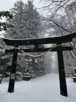 信濃神社の鳥居
