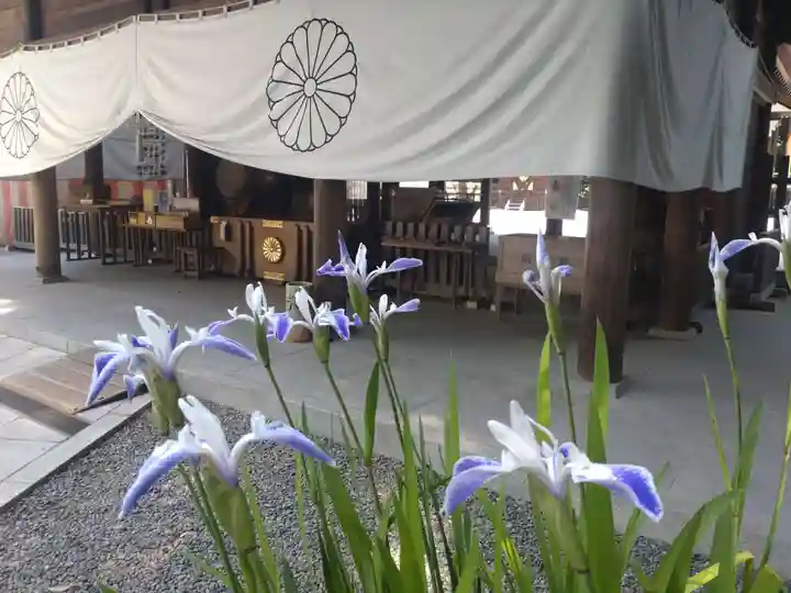 阿佐ヶ谷神明宮の自然