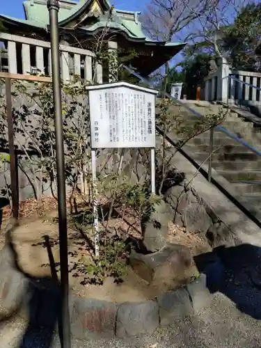 白旗神社(神奈川県)