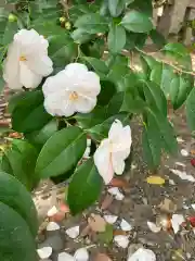 和歌山縣護國神社(和歌山県)