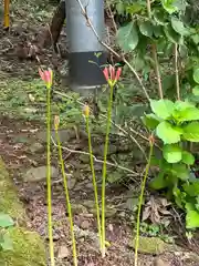 諏訪神社(茨城県)