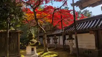 西明寺(京都府)