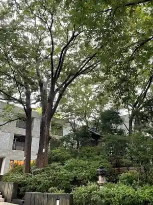 猿楽神社の自然