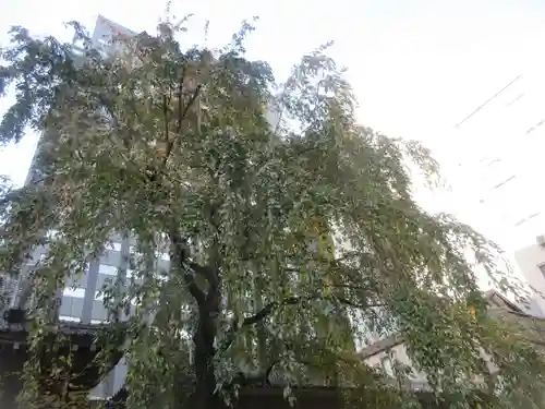 光専寺(東京都)