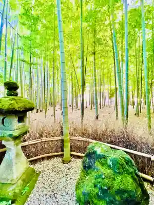 報国寺(神奈川県)