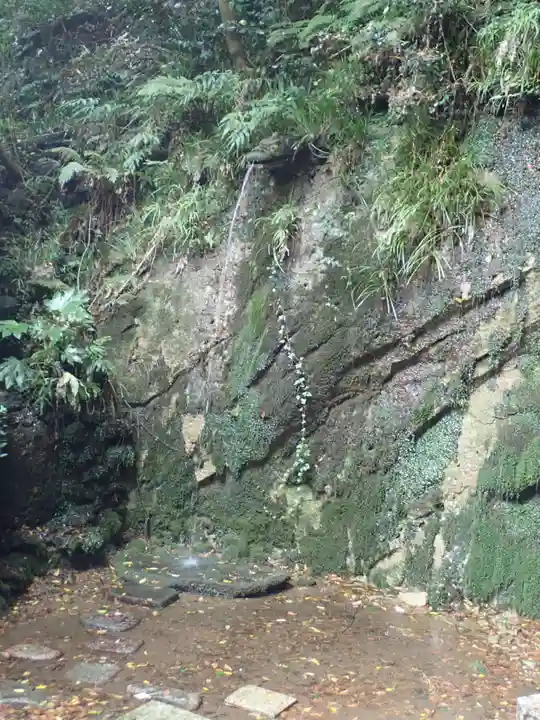 淨眞寺(東京都)