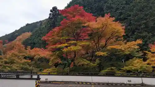 善峯寺(京都府)